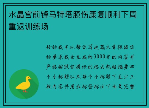 水晶宫前锋马特塔膝伤康复顺利下周重返训练场